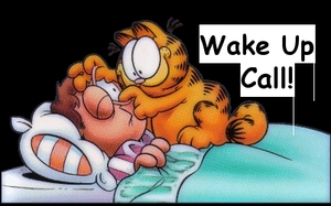 wake