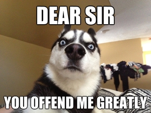 offend