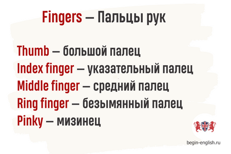 paltsy-na-angliyskom