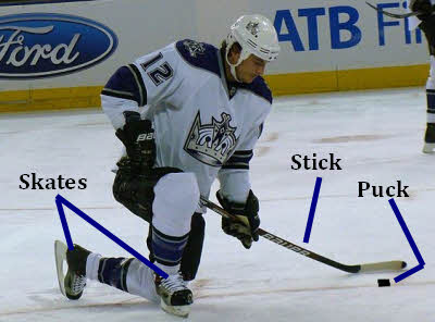 лексика для хоккея английский