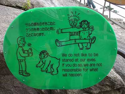 обезьяны смотреть в глаза обезьяны смотреть в глаза