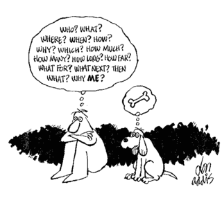 о чем думают собаки