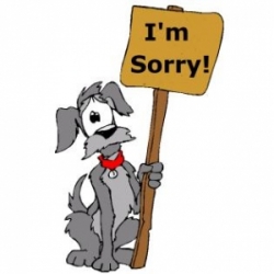 apologize
