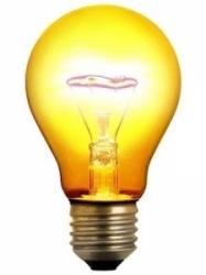 bulb