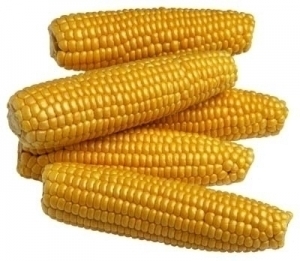 corn