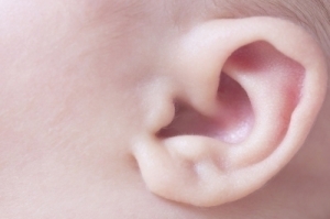 ear
