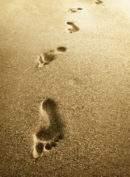 footstep