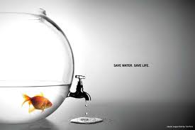 save