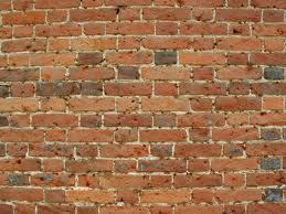wall
